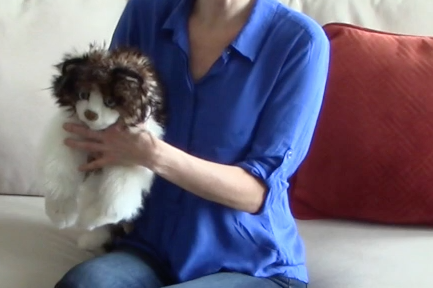 holding a cat and controlling the front legs