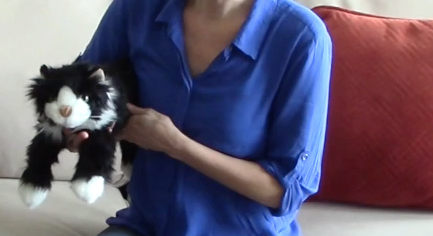 supporting the body while holding a cat