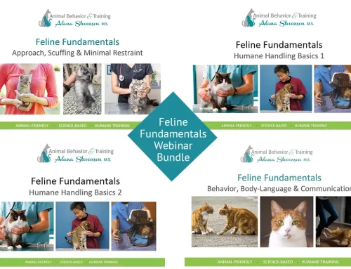 Cat Behavior & Handling Tutorials