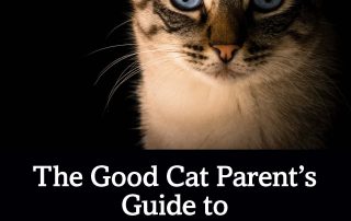 The Good Cat Parent's Guide to Feline Behavior Modification by Alana Stevenson