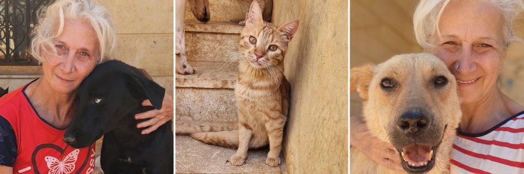 Reem Lajin — Animals to Safety in Syria with Roxxy, black lab, Chance, orange cat, and Phoenix, tan shepherd lab mix