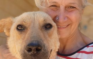 dog rescue in Syria — Reem Lajin